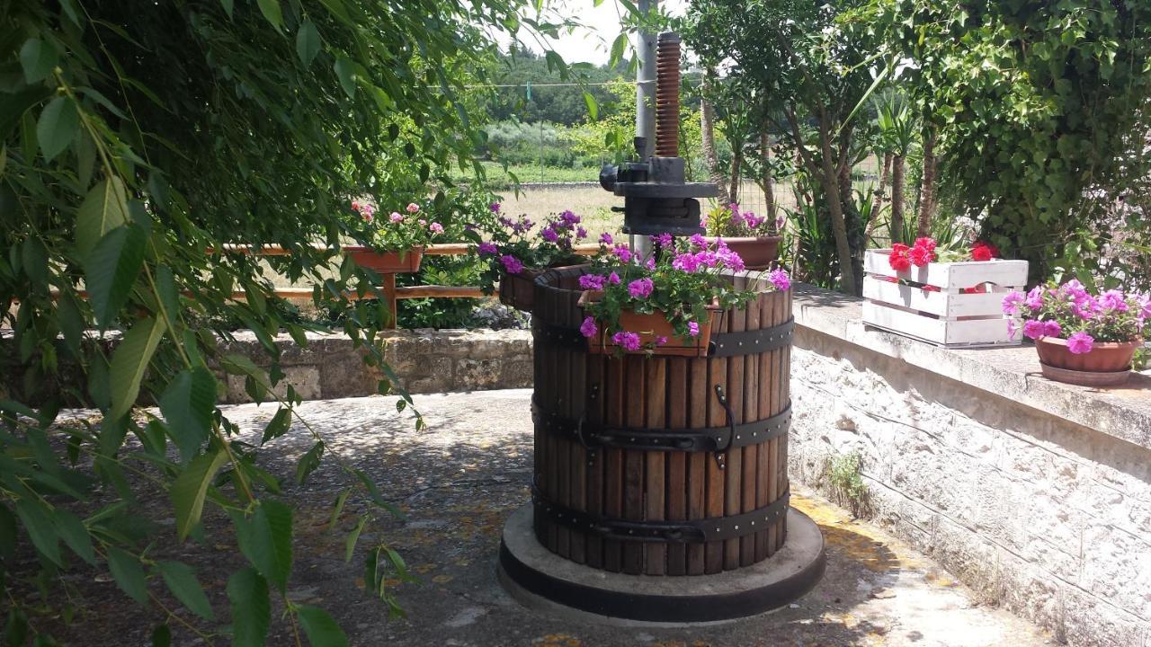 Hébergement de vacances Trulli Di Rosa *