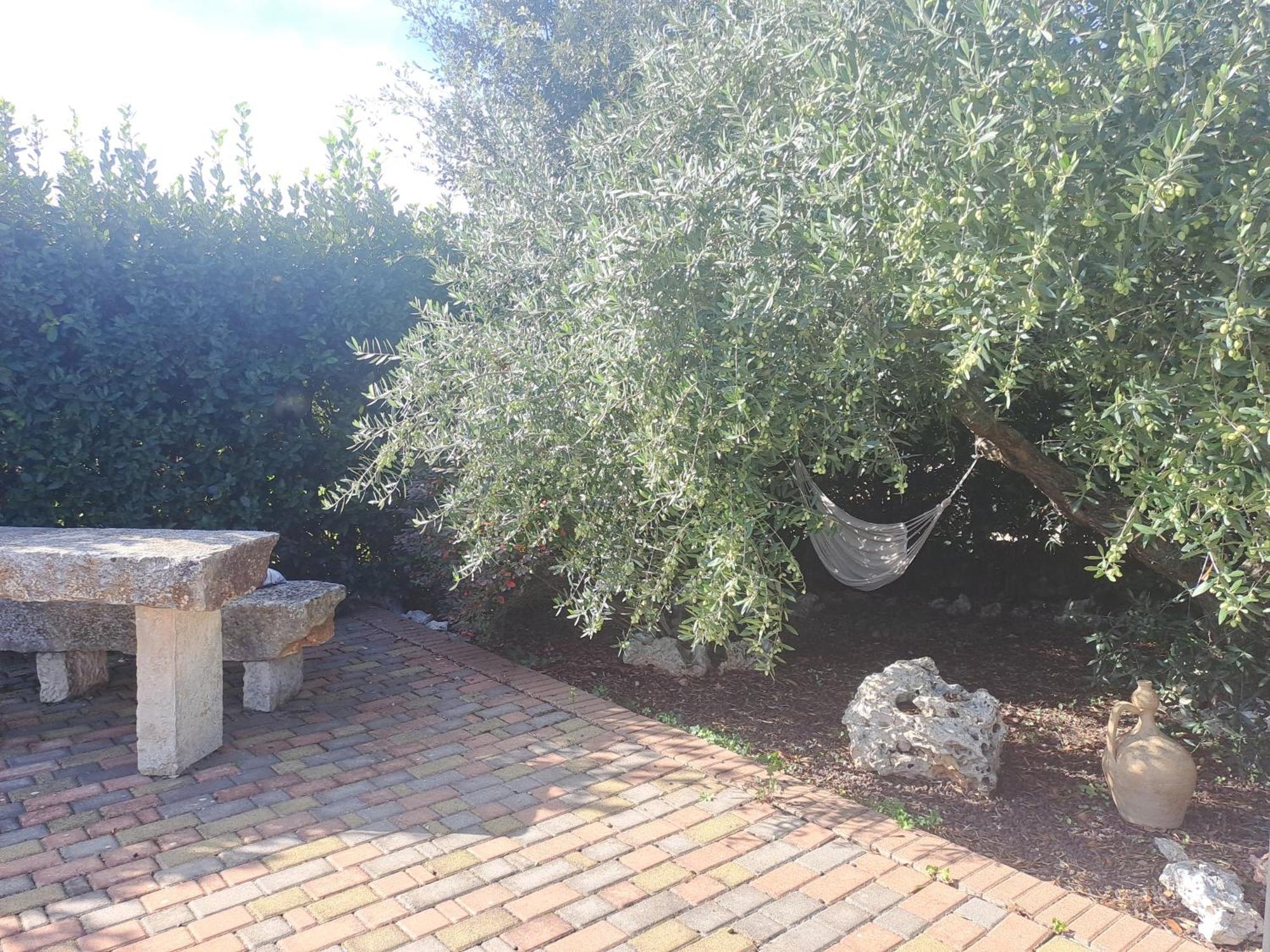 Trulli Di Rosa Hébergement de vacances *