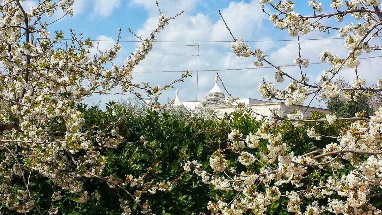 Trulli Di Rosa Hébergement de vacances Locorotondo